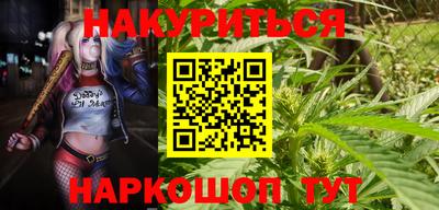 бошки Будённовск