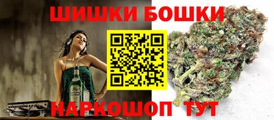 бошки Будённовск