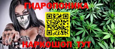 spice Бузулук