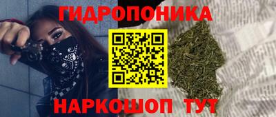 spice Бузулук